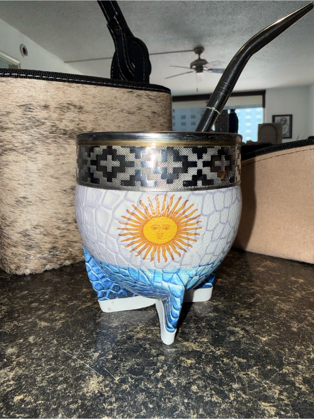 Custom stainless steel Argentine Flag Mate Sol De Mayo - leather